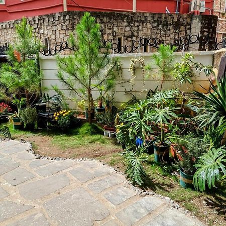 Wasabi House - Homestay Ben Cho Da Lat Exterior photo